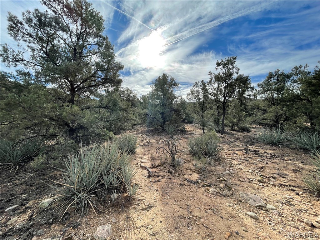 0 North Christmas Tree Road Hackberry, AZ 86411 - Photo 7 of 17 Gallery Image 7