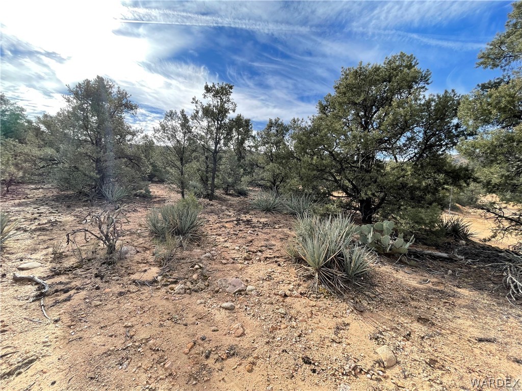 0 North Christmas Tree Road Hackberry, AZ 86411 - Photo 8 of 17 Gallery Image 8
