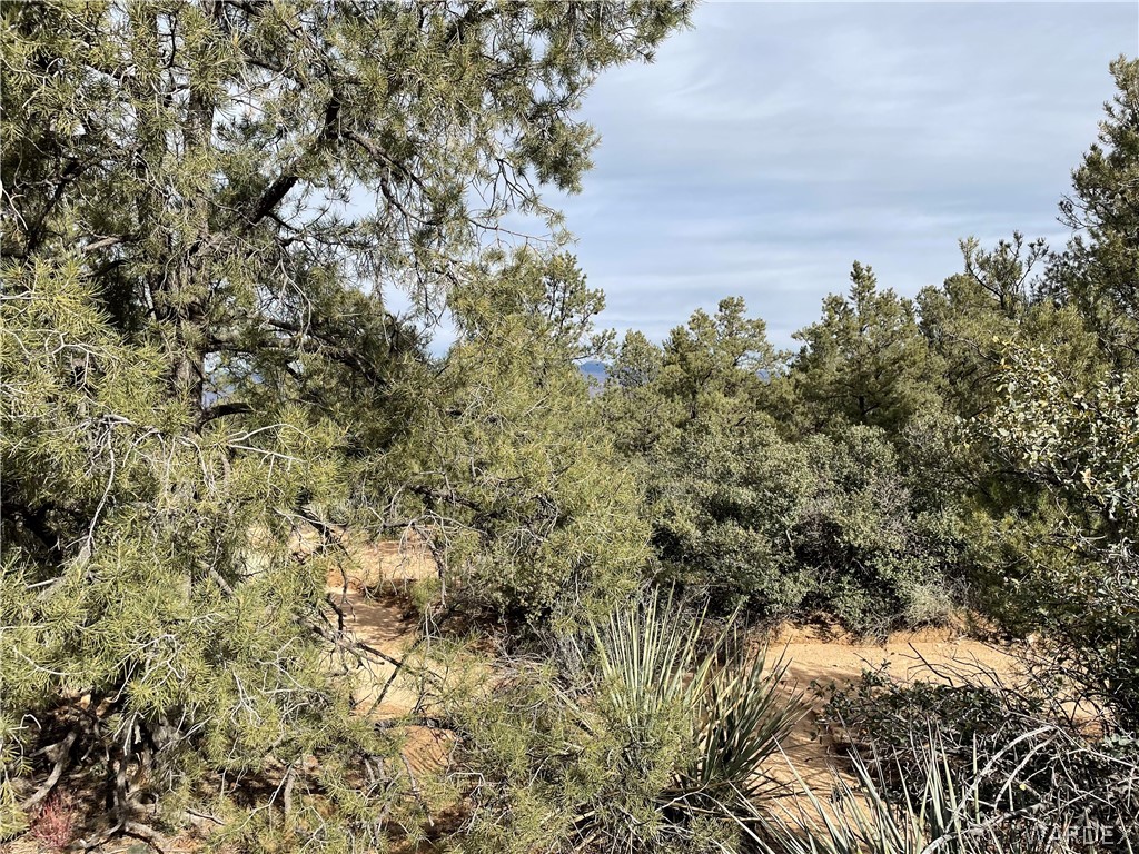 0 North Christmas Tree Road Hackberry, AZ 86411 - Photo 9 of 17 Gallery Image 9