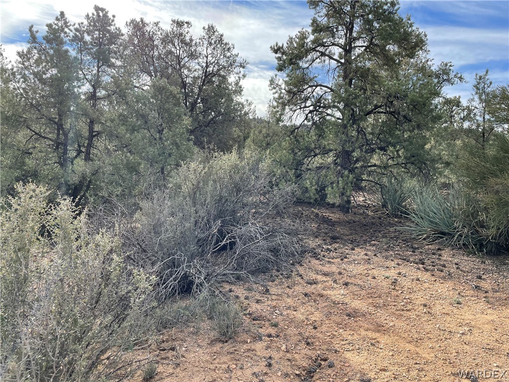 0 North Christmas Tree Road Hackberry, AZ 86411 - Photo 10 of 17 Gallery Image 10
