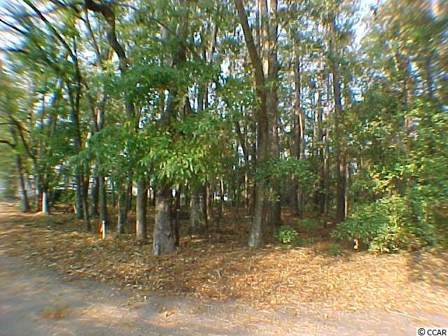 Lot 9 Boundary Avenue Murrells Inlet, SC 29576 - Photo 3 of 17 Gallery Image 3
