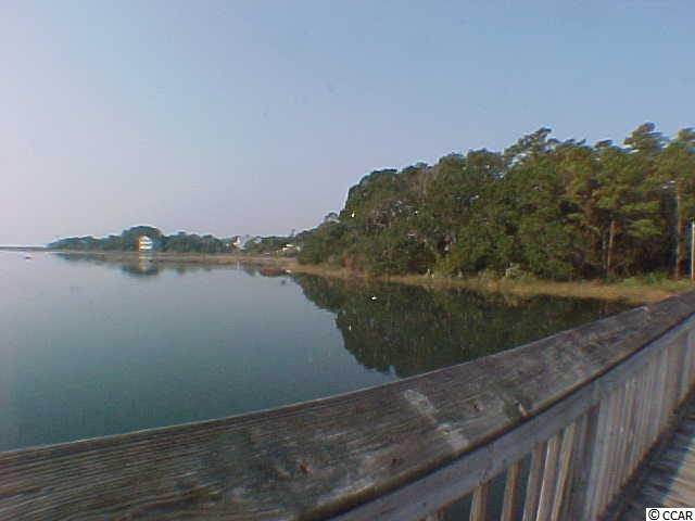 Lot 9 Boundary Avenue Murrells Inlet, SC 29576 - Photo 8 of 17 Gallery Image 8