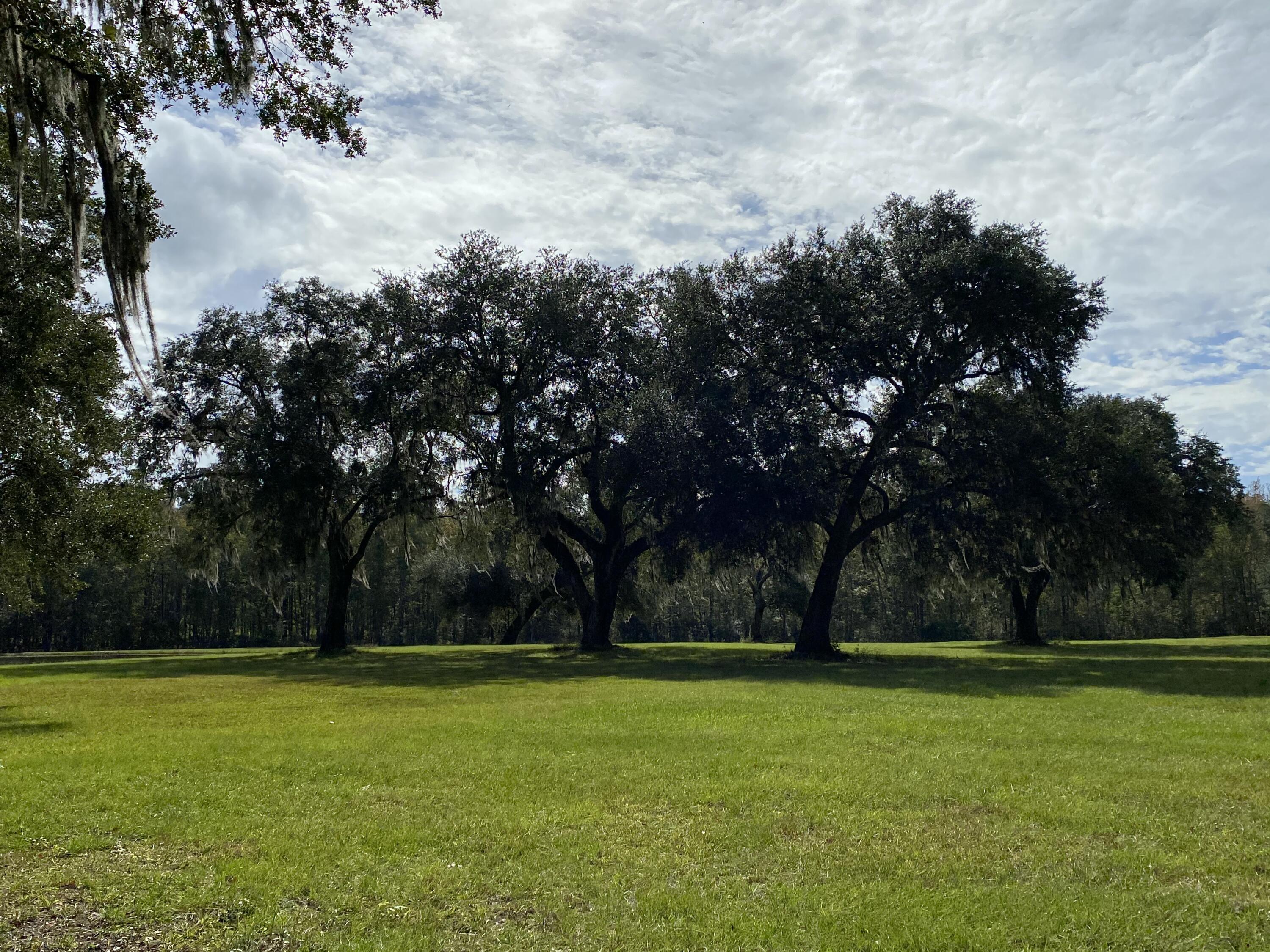 210 Oyster Catcher Road Ravenel, SC 29470 - Photo 7 of 9 IMG_4147