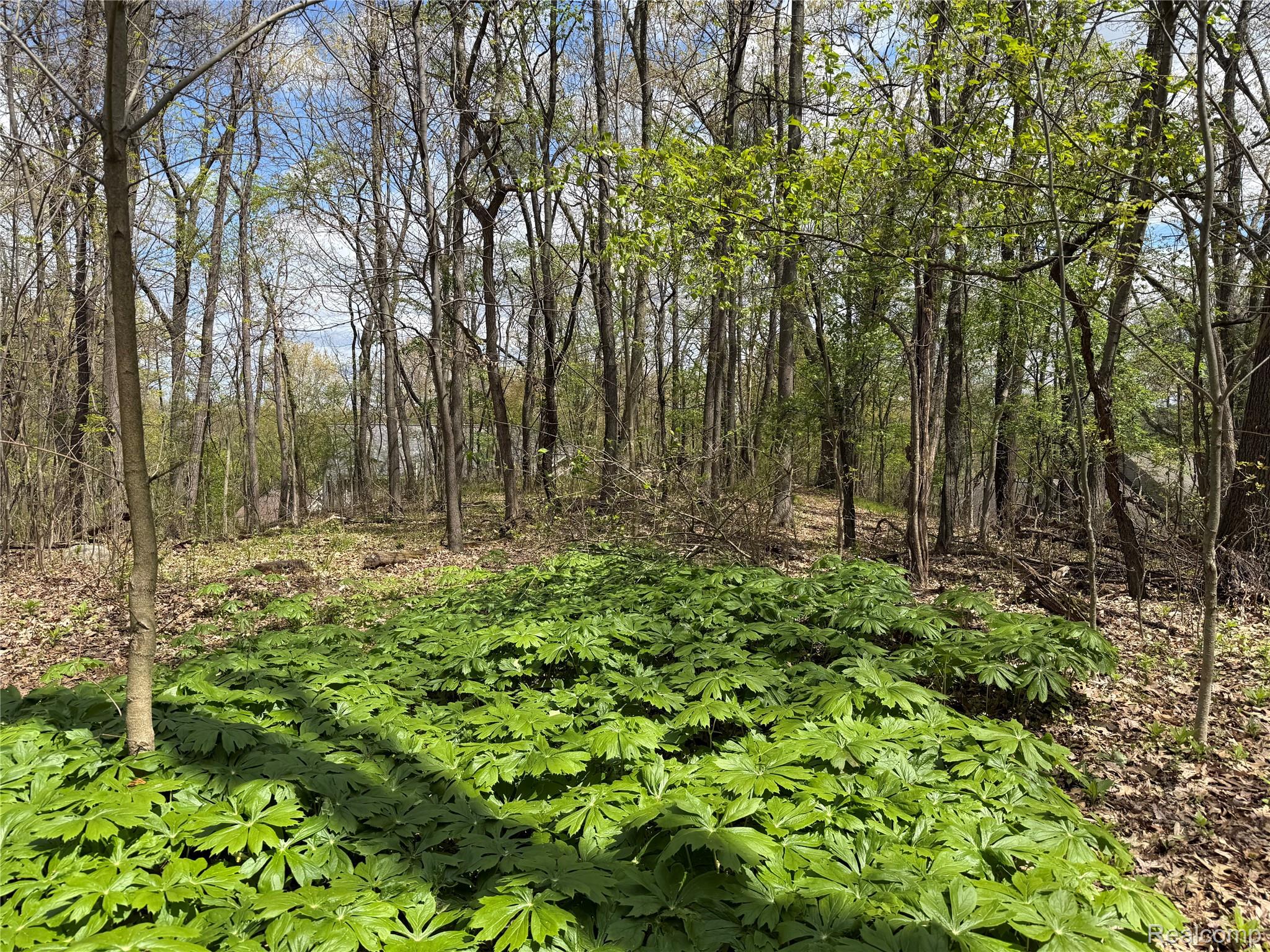 Lot 25 Hidden Ridge Trail Fenton, MI 48430 - Photo 6 of 7 At top