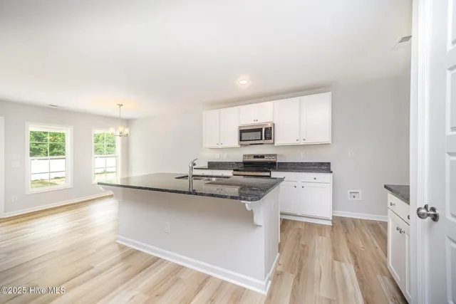 $319,706 | 41 West Emily Gardens Drive, Selma, NC 27576