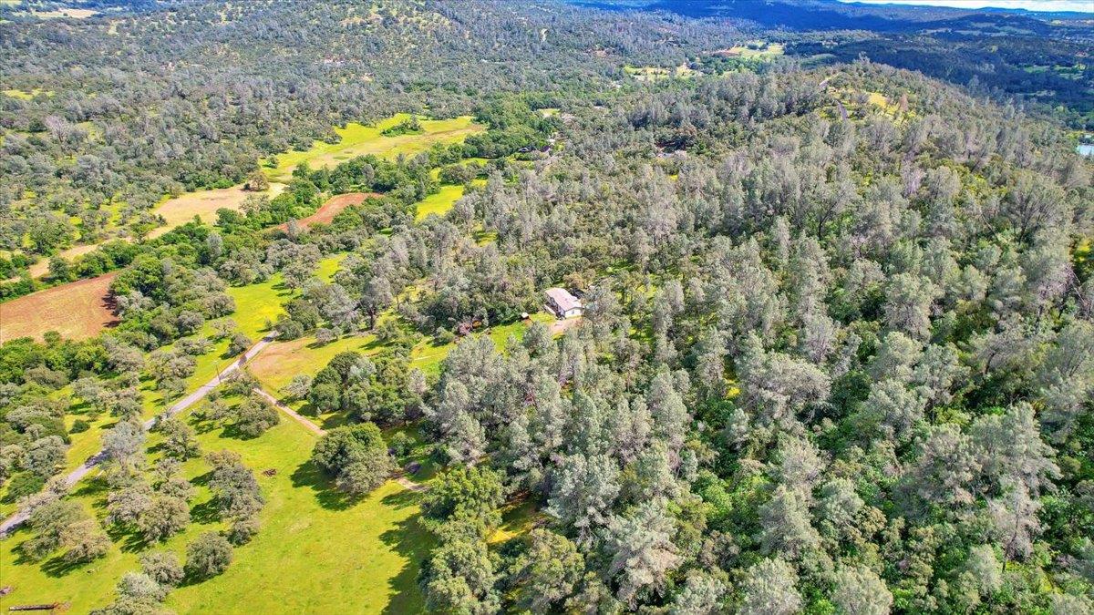 10268 Peoria Road Browns Valley, CA 95918 - Photo 45 of 57 a view of a big yard with lots of bushes