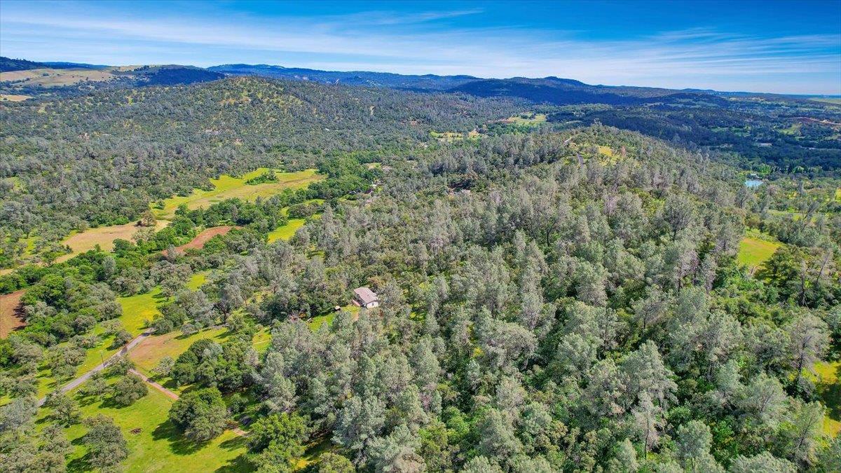 10268 Peoria Road Browns Valley, CA 95918 - Photo 46 of 57 a view of a lush green forest with trees in the background