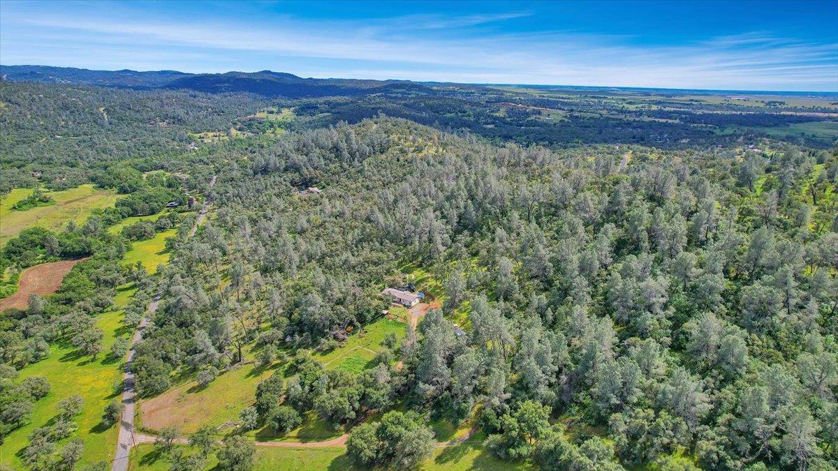 10268 Peoria Road Browns Valley, CA 95918 - Photo 47 of 57 a view of a forest with a lush green forest