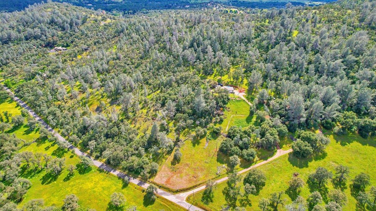 10268 Peoria Road Browns Valley, CA 95918 - Photo 49 of 57