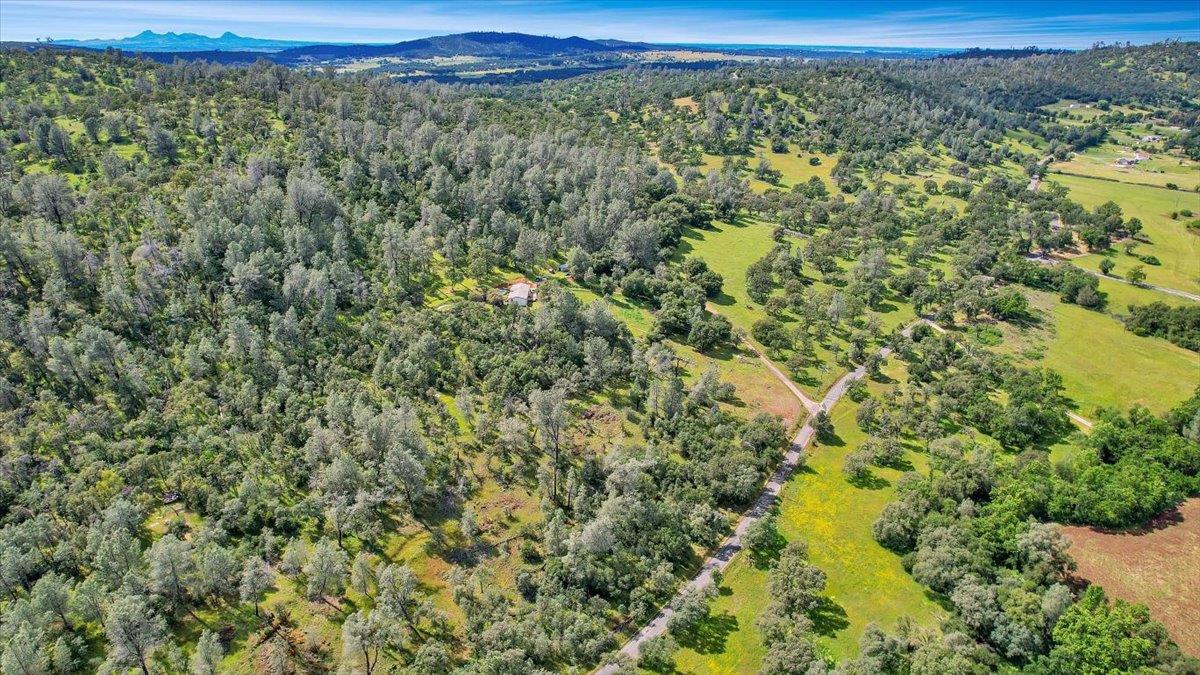 10268 Peoria Road Browns Valley, CA 95918 - Photo 50 of 57