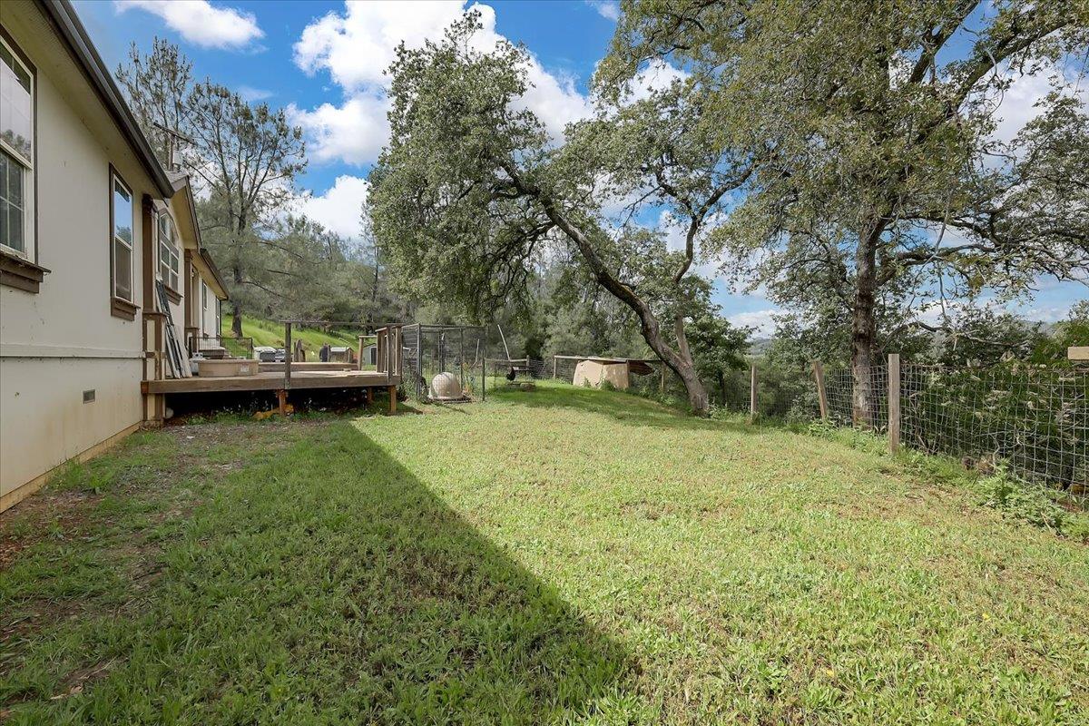 10268 Peoria Road Browns Valley, CA 95918 - Photo 5 of 57 a view of a yard with a house and large trees