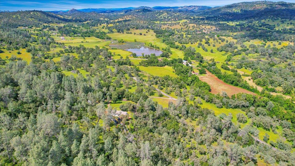 10268 Peoria Road Browns Valley, CA 95918 - Photo 54 of 57 a view of a green field