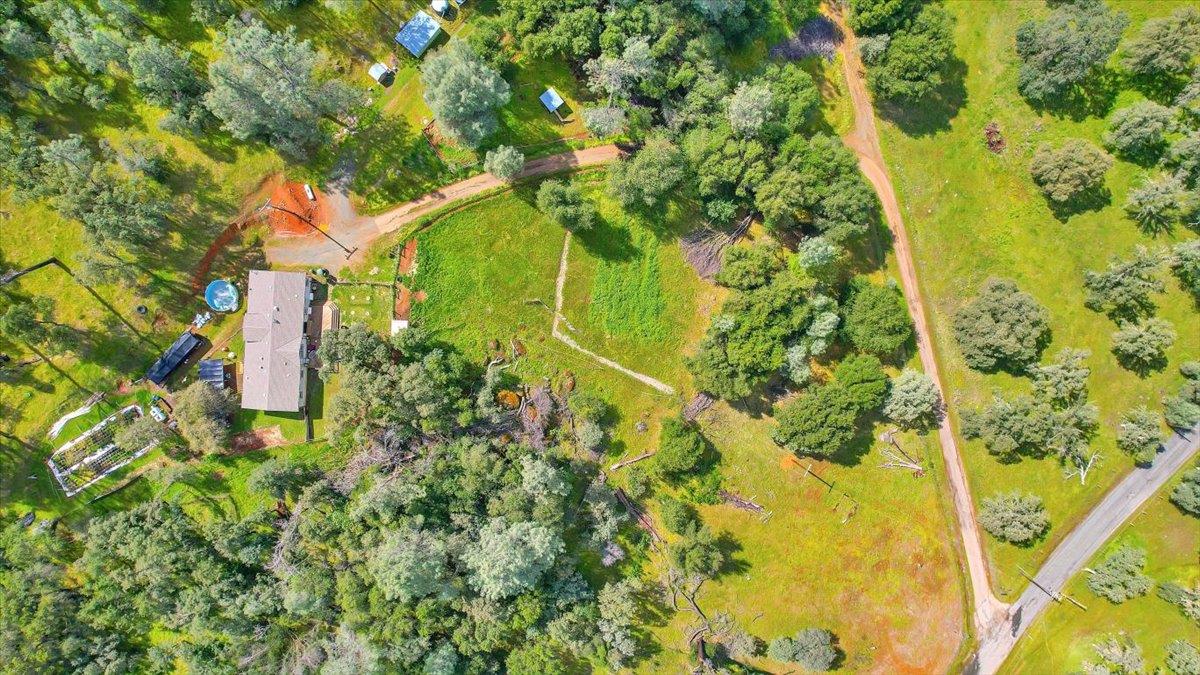 10268 Peoria Road Browns Valley, CA 95918 - Photo 57 of 57 a backyard of a house with large trees