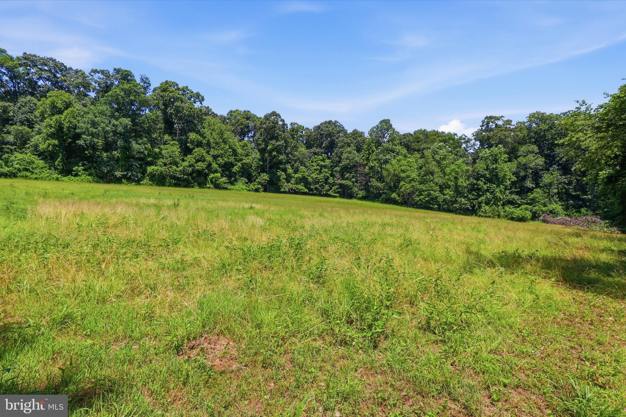 3555 Mill Green Road Street, MD 21154 - Photo 79 of 106
