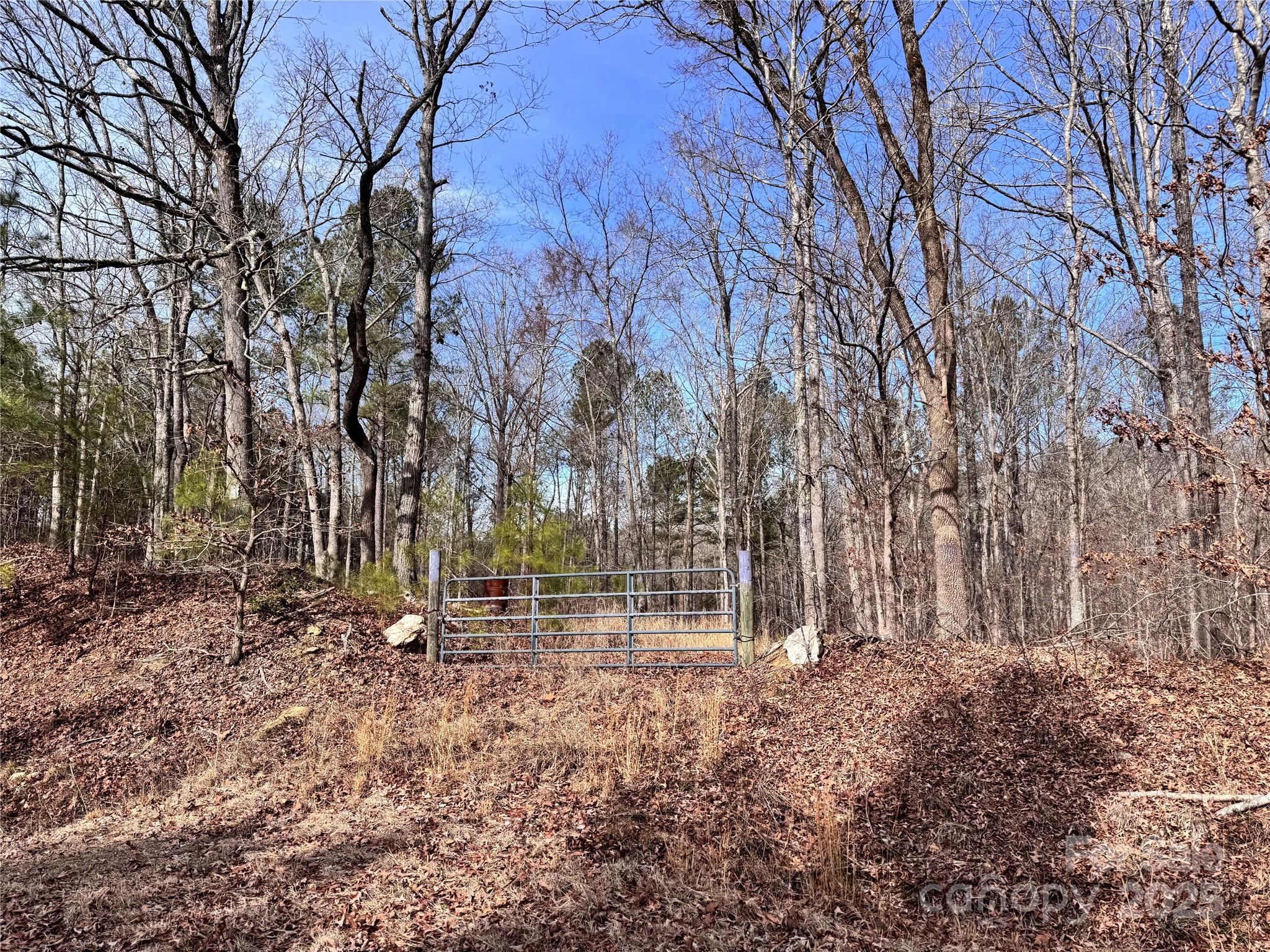 0 Holly Mt Church Road Mount Gilead, NC 27306 - Photo 1 of 5