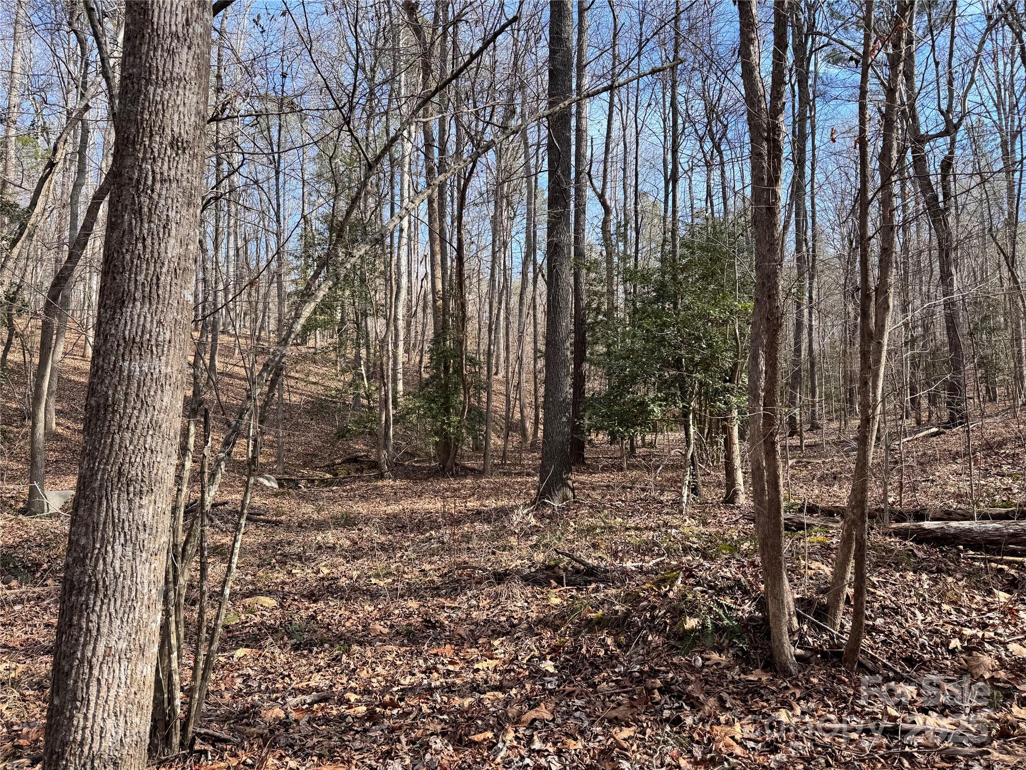 0 Holly Mt Church Road Mount Gilead, NC 27306 - Photo 2 of 5