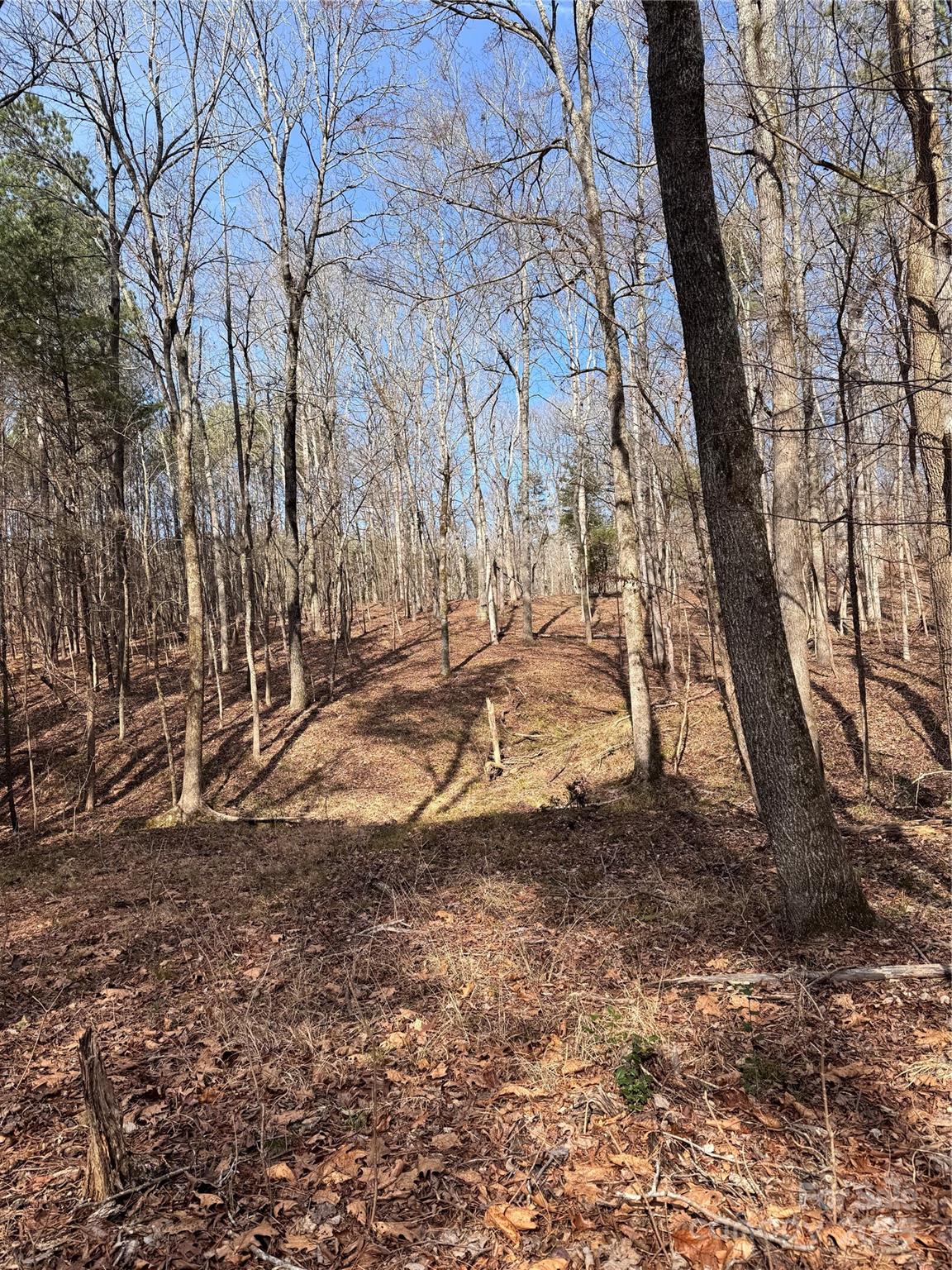 0 Holly Mt Church Road Mount Gilead, NC 27306 - Photo 3 of 5