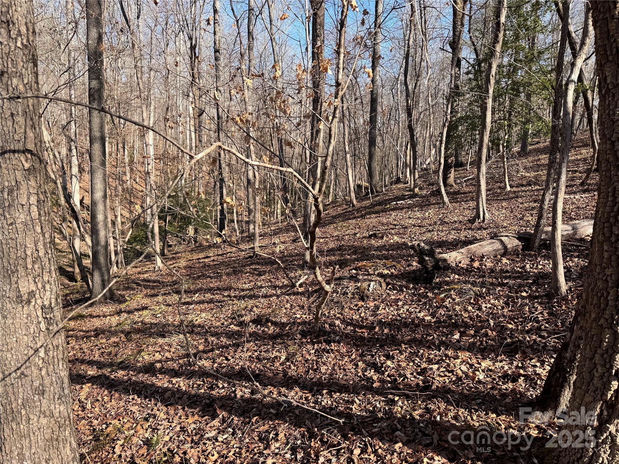 0 Holly Mt Church Road Mount Gilead, NC 27306 - Photo 4 of 5