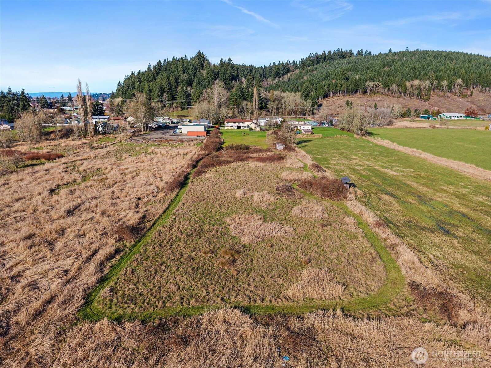 802 State Street Centralia, WA 98531 - Photo 29 of 40 a view of a town with mountains in the background