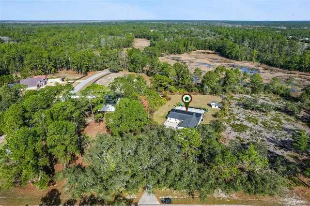 a view of a backyard with plants and mountain view
