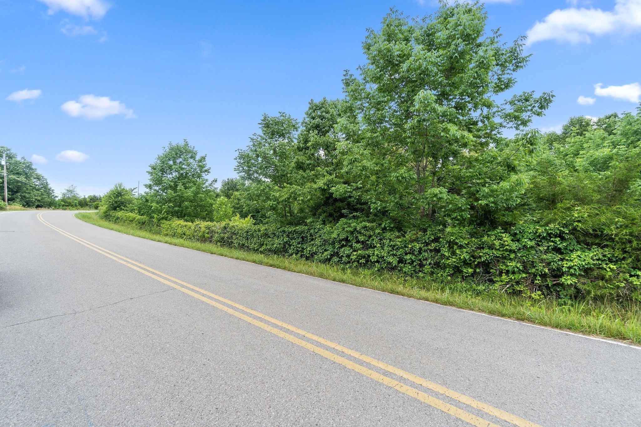 0 Jim Kim Road Palmyra, TN 37142 - Photo 2 of 6 a view of a garden