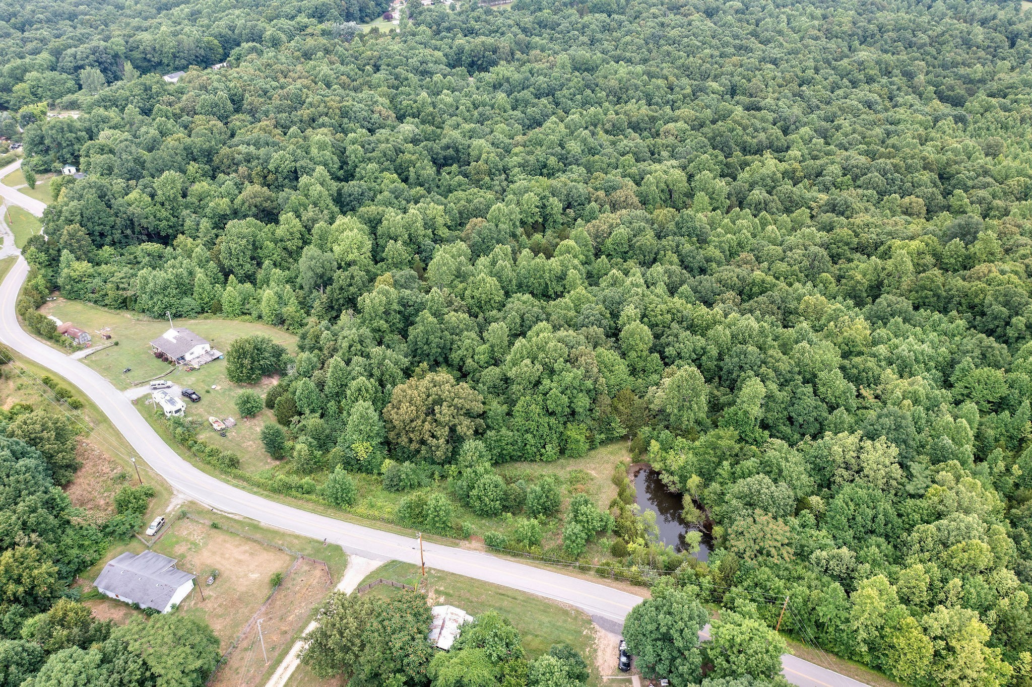 0 Jim Kim Road Palmyra, TN 37142 - Photo 5 of 6 a view of a forest with a tree