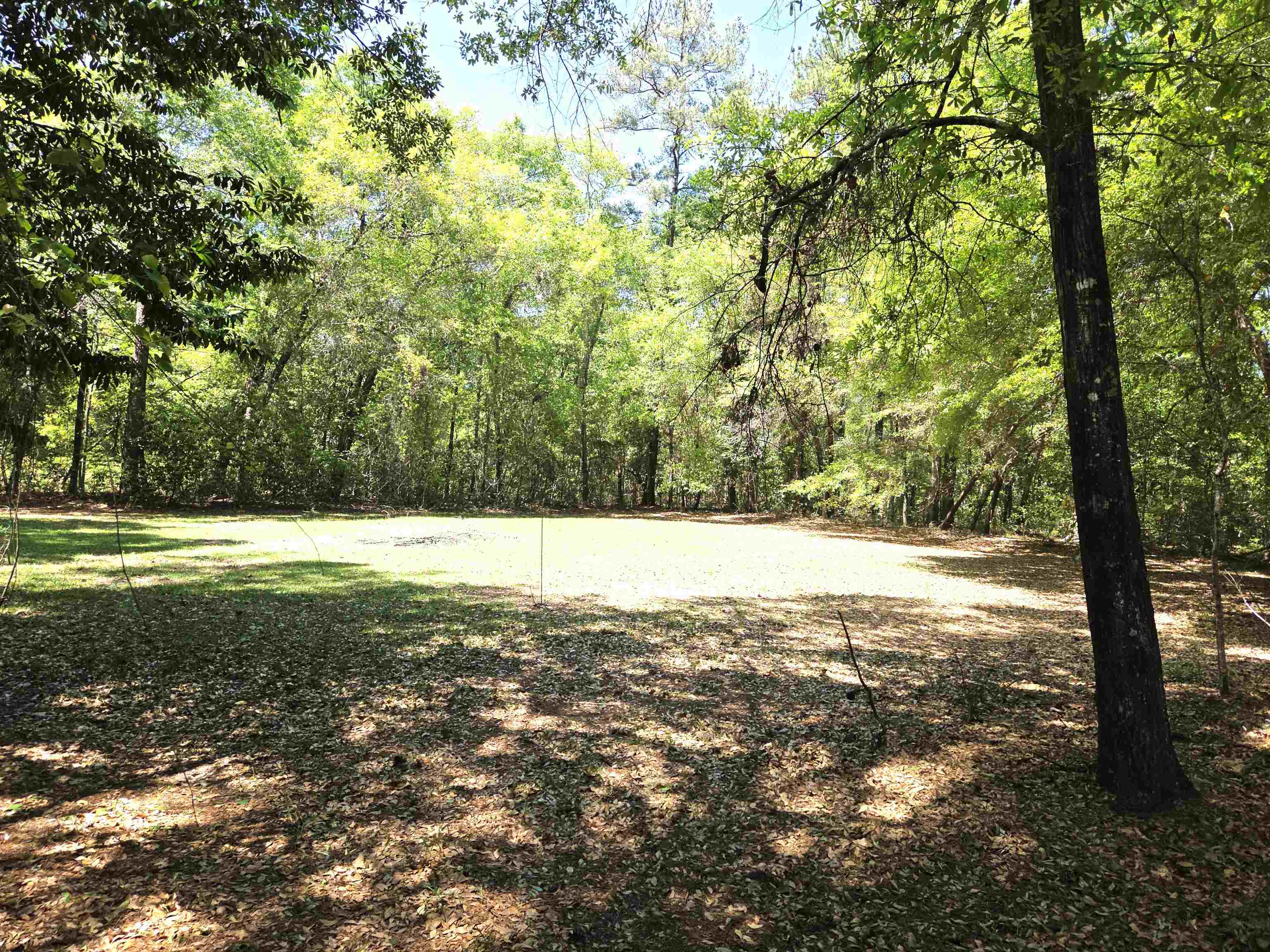 2344 Lakeview Point Road Quincy, FL 32351 - Photo 5 of 19