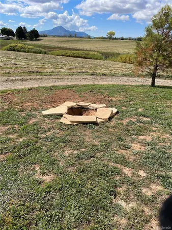 a view of flowers in a tree