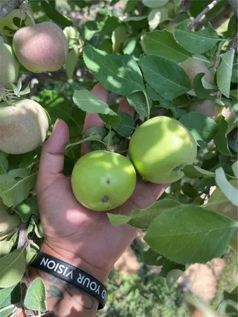 a view of reception area