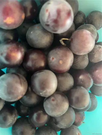 a living room with toilet and mirror