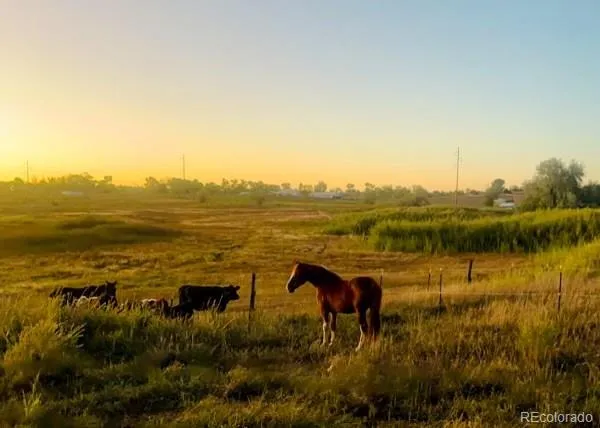 a view of lake with green space