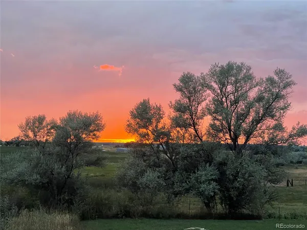 a view of a city with lush green forest