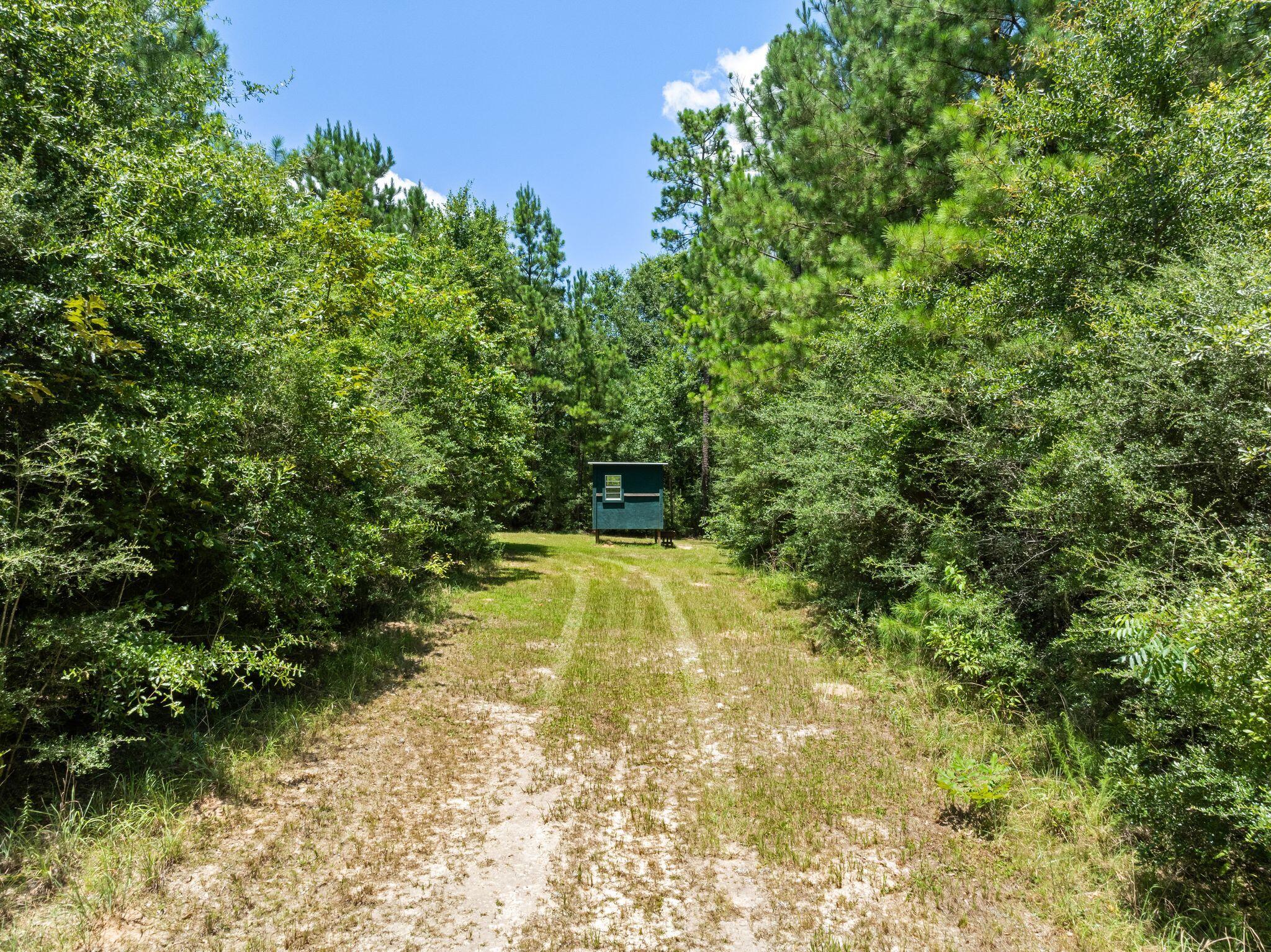 167 Military Sandy Hook, MS 39478 - Photo 33 of 43 Gallery Image 33