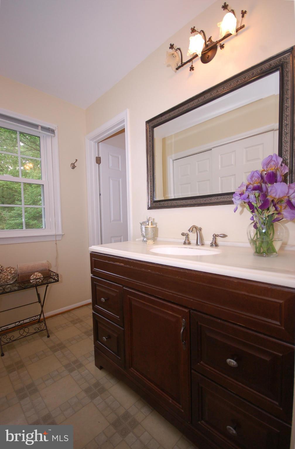 19417 Treadway Road Olney, MD 20833 - Photo 15 of 25 Bath (Master)