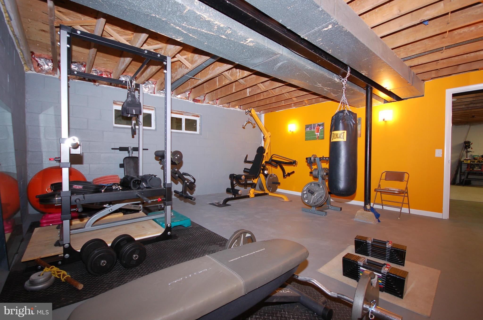 19417 Treadway Road Olney, MD 20833 - Photo 23 of 25 Basement