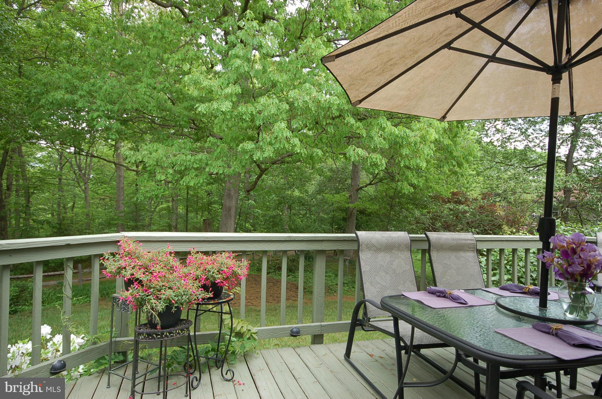 19417 Treadway Road Olney, MD 20833 - Photo 4 of 25 view from deck