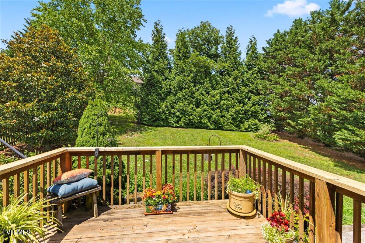 232 New Hope Road Jonesborough, TN 37659 - Photo 24 of 30 21-128A9833