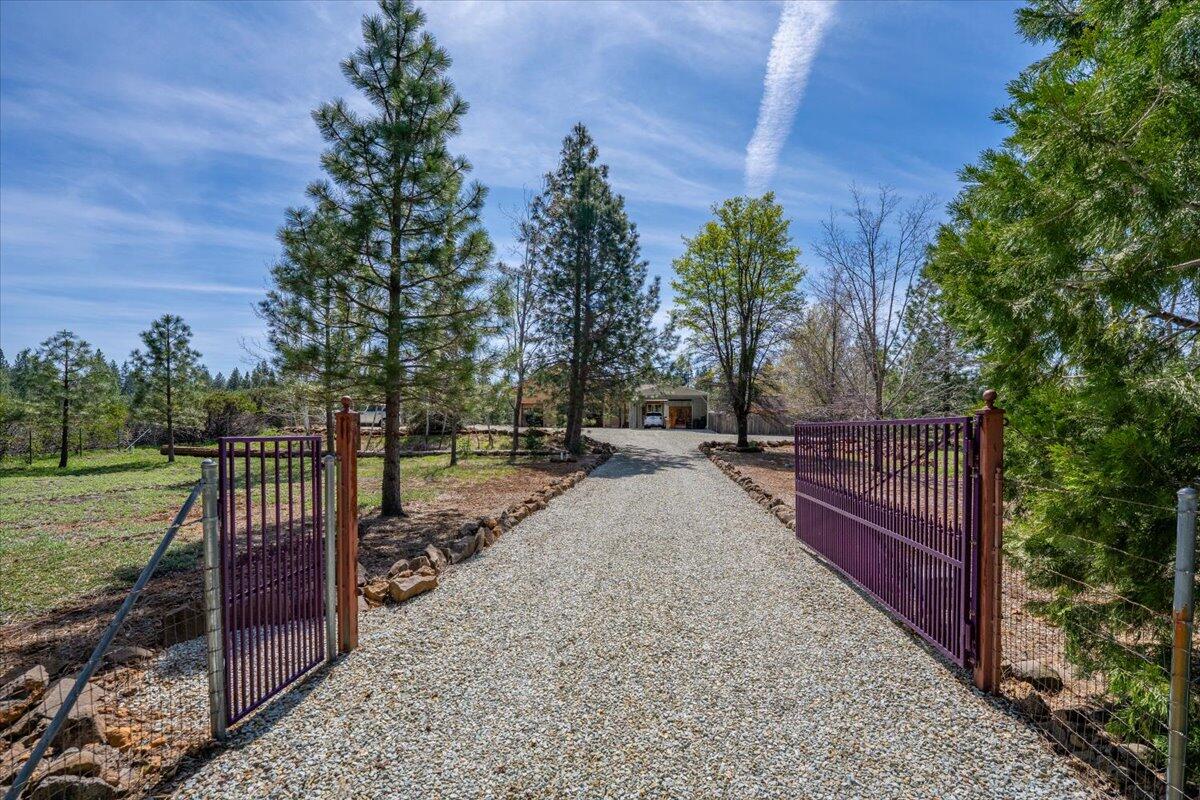 32677 Emigrant Trail Shingletown, CA 96088 - Photo 3 of 98 101-32677 Emigrant Trl - E-62