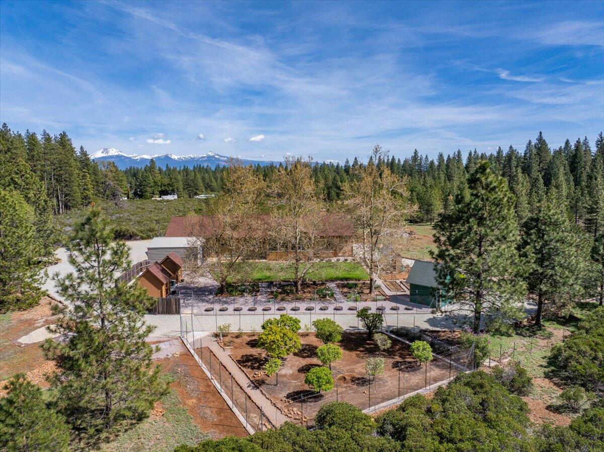 32677 Emigrant Trail Shingletown, CA 96088 - Photo 60 of 98 059-32677 Emigrant Trl - E-16