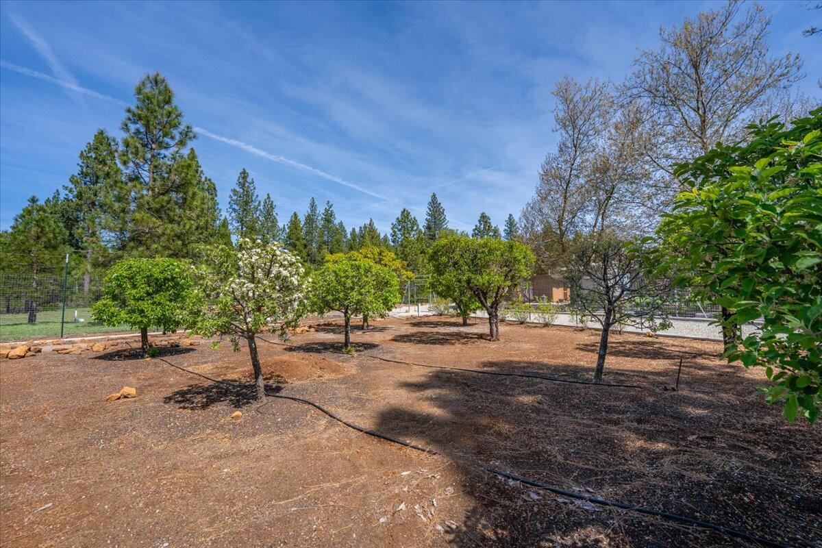32677 Emigrant Trail Shingletown, CA 96088 - Photo 87 of 98 095-32677 Emigrant Trl - E-56