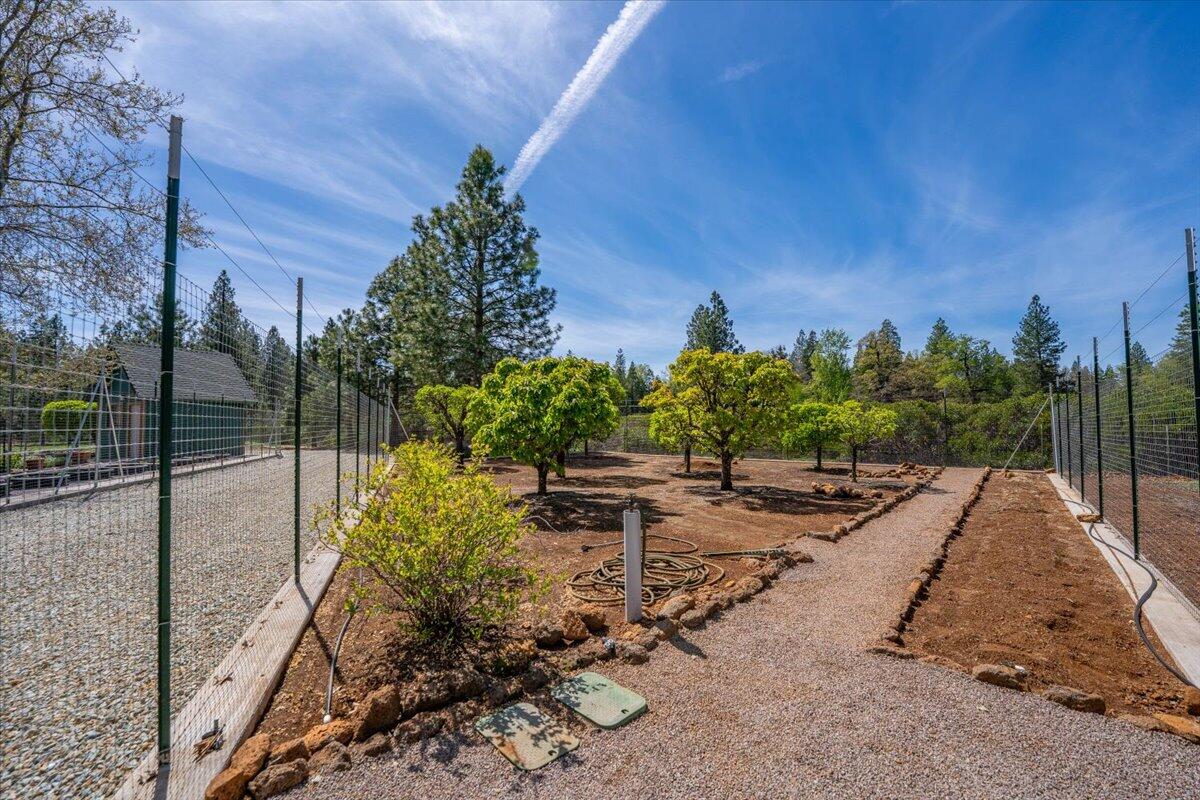 32677 Emigrant Trail Shingletown, CA 96088 - Photo 88 of 98 093-32677 Emigrant Trl - E-54