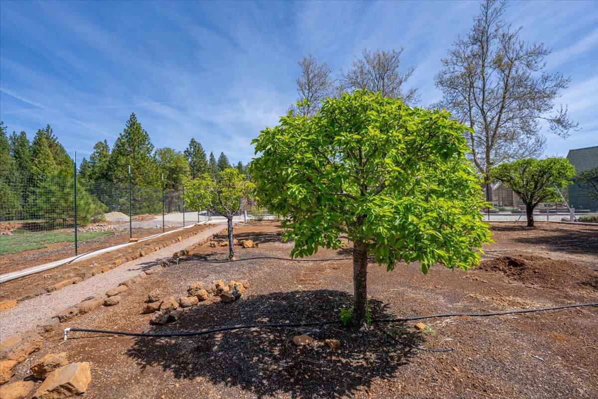 32677 Emigrant Trail Shingletown, CA 96088 - Photo 89 of 98 094-32677 Emigrant Trl - E-55