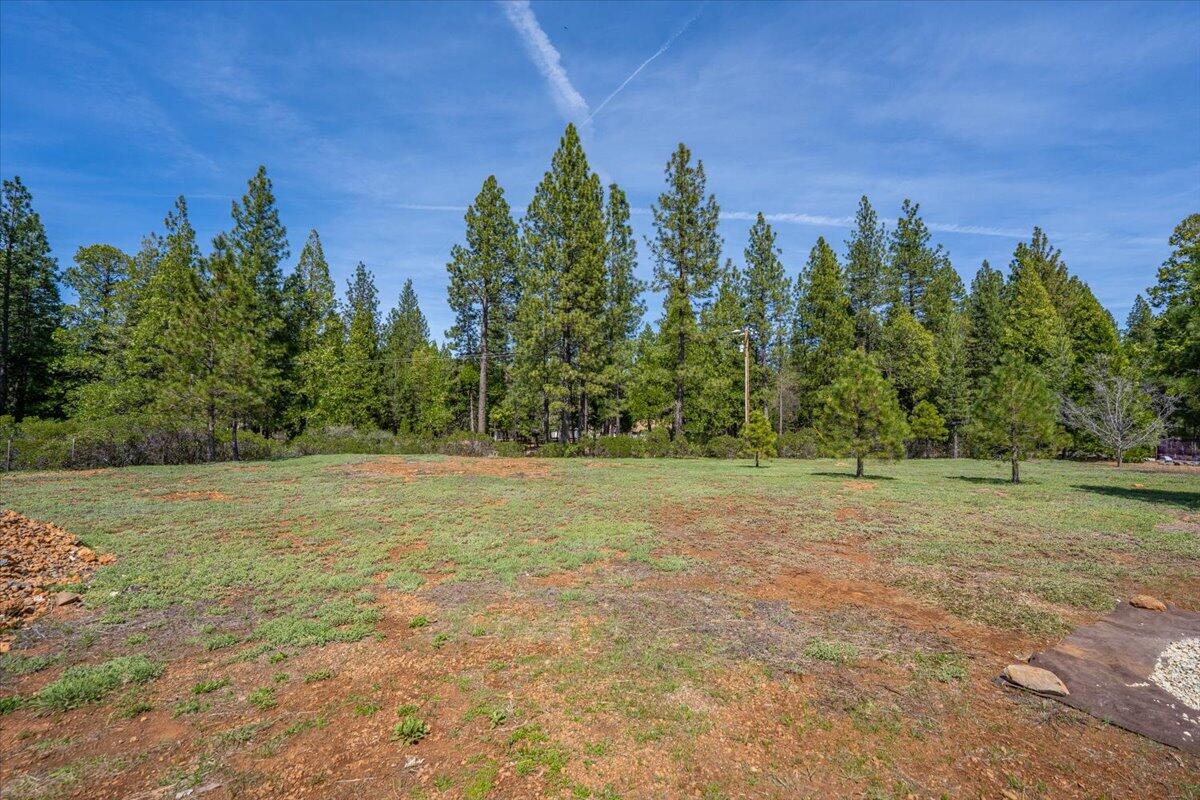32677 Emigrant Trail Shingletown, CA 96088 - Photo 91 of 98 097-32677 Emigrant Trl - E-58