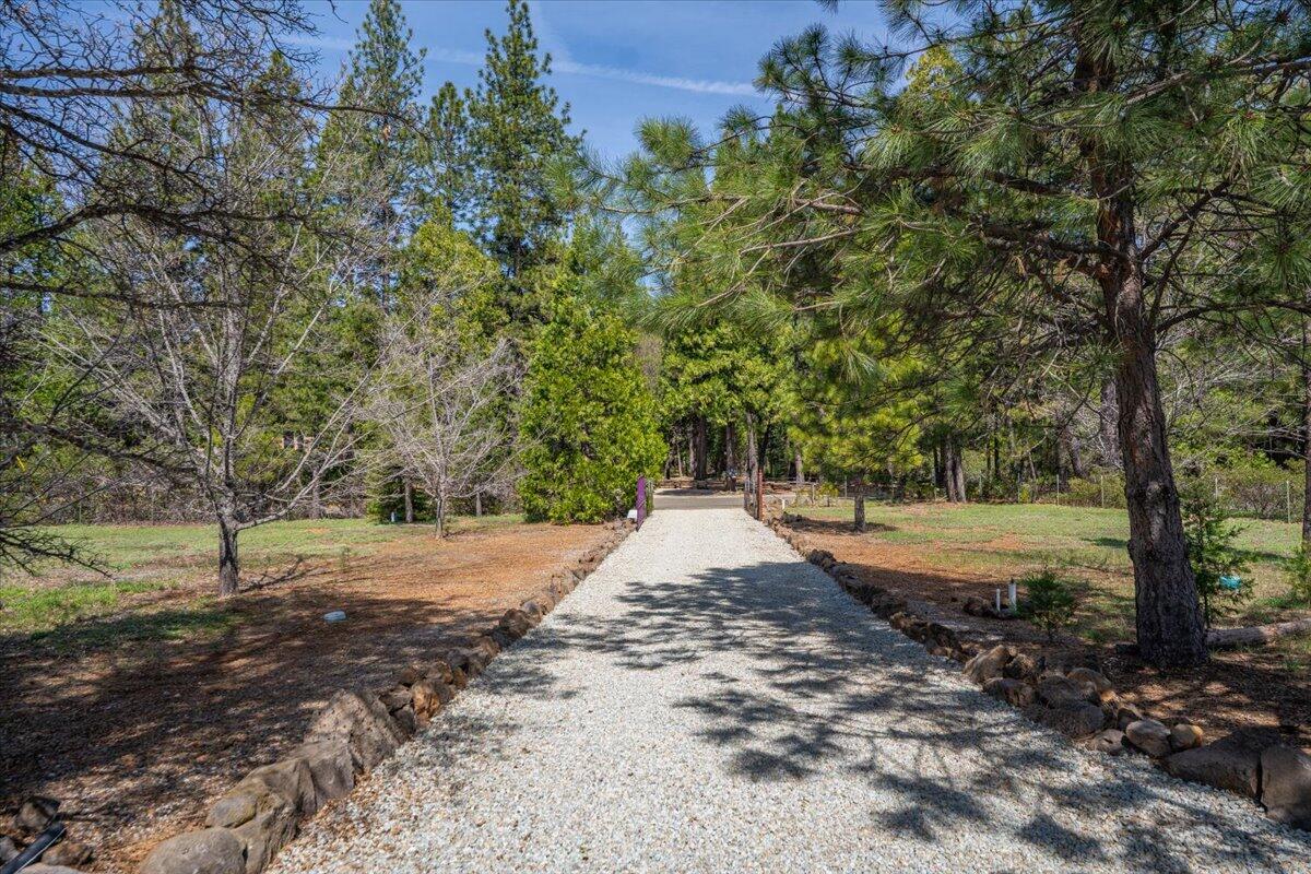 32677 Emigrant Trail Shingletown, CA 96088 - Photo 93 of 98 100-32677 Emigrant Trl - E-61