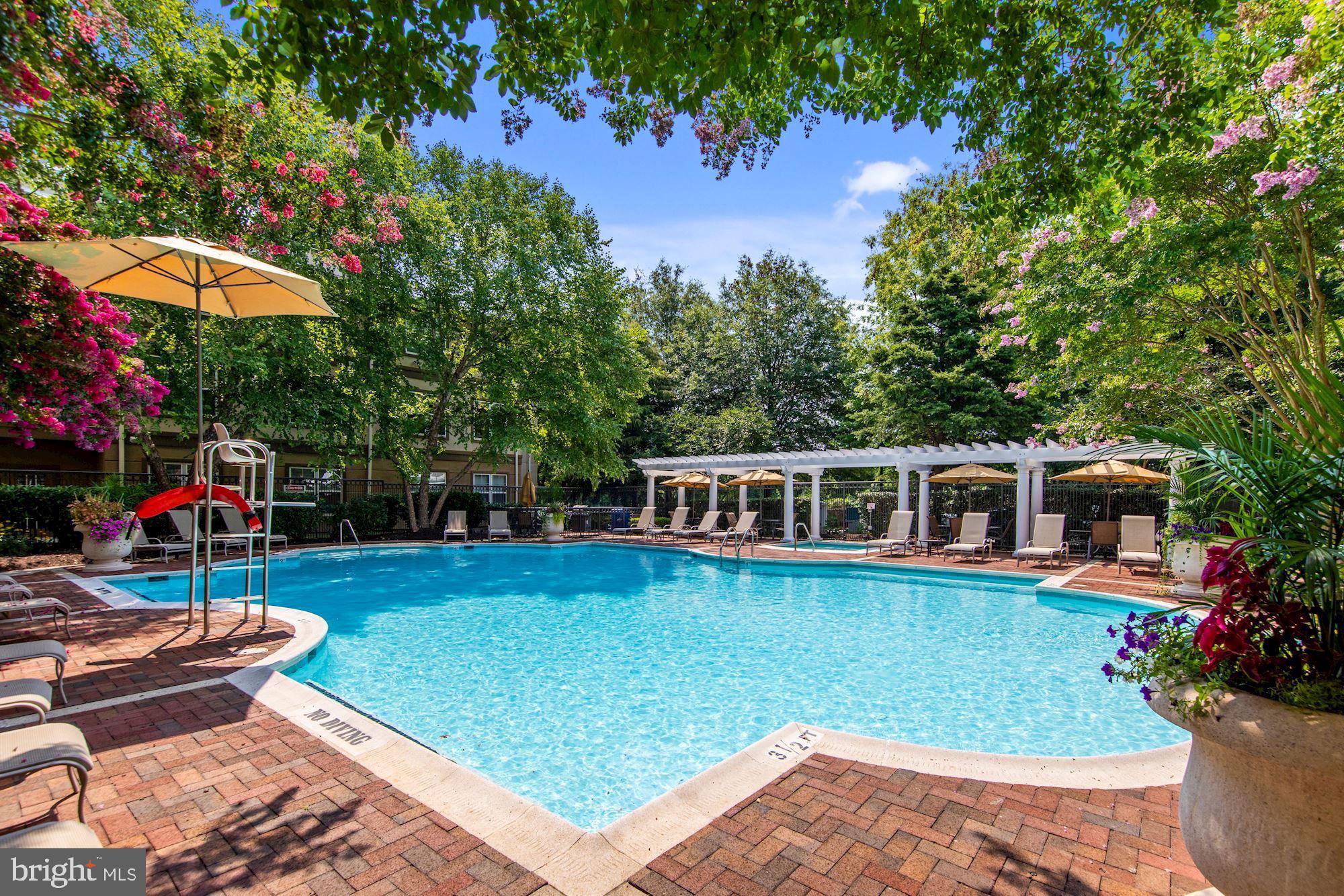 11750 Old Georgetown Road, Unit 2336 Rockville, MD 20852 - Photo 37 of 45 Gorgeous Swimming Pool