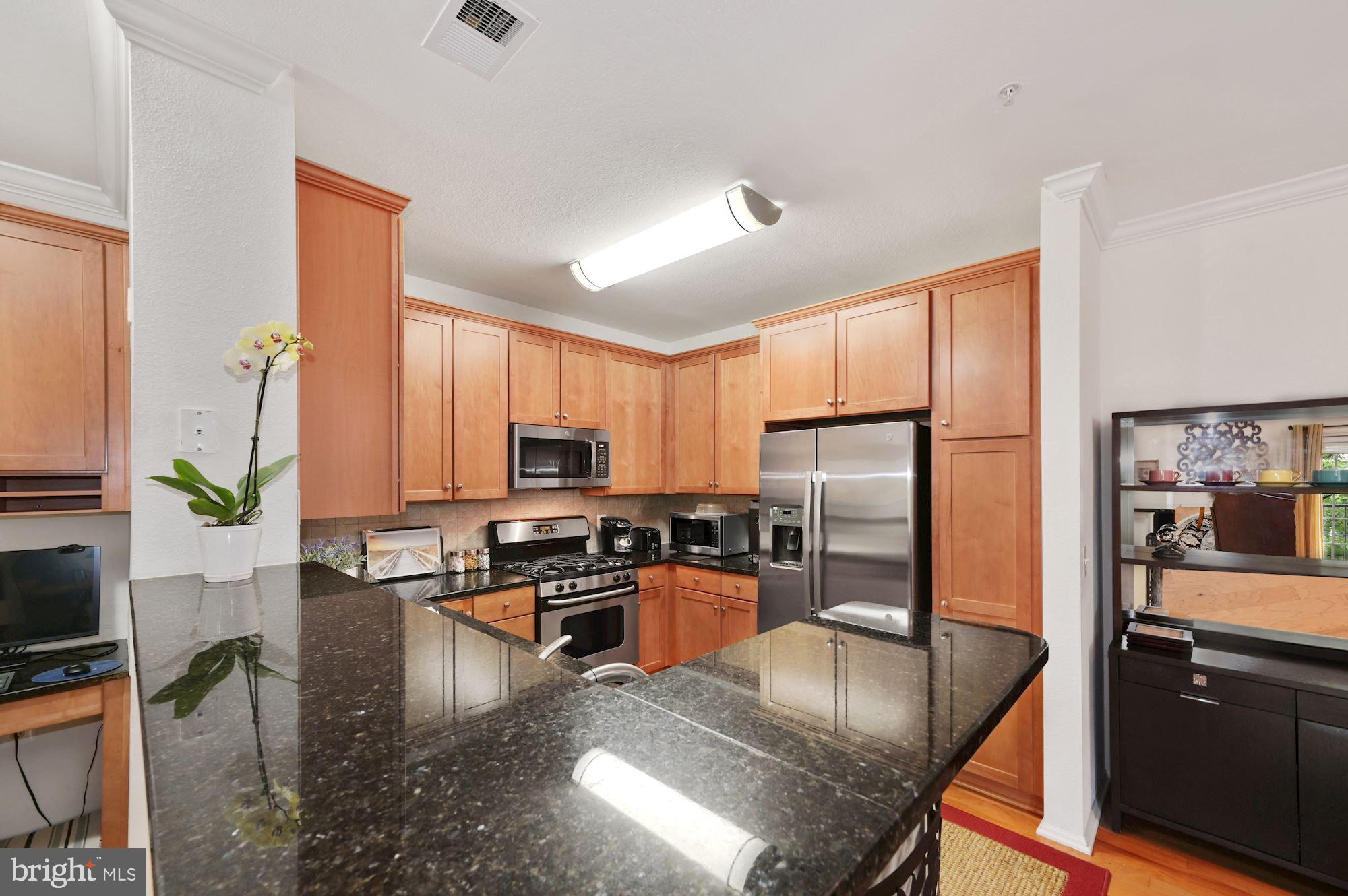 11750 Old Georgetown Road, Unit 2336 Rockville, MD 20852 - Photo 5 of 45 Updated Kitchen with brand new GE refrigerator