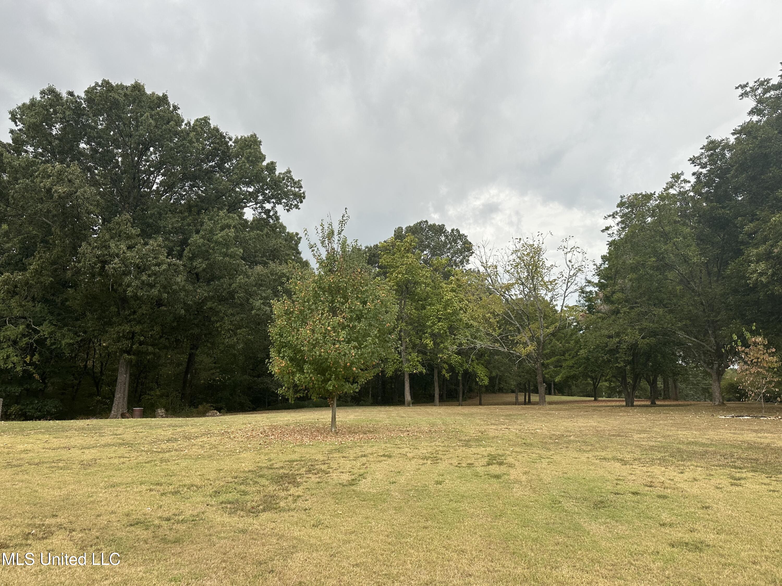 4486 Swinnea Road Southaven, MS 38672 - Photo 6 of 11 IMG_2411