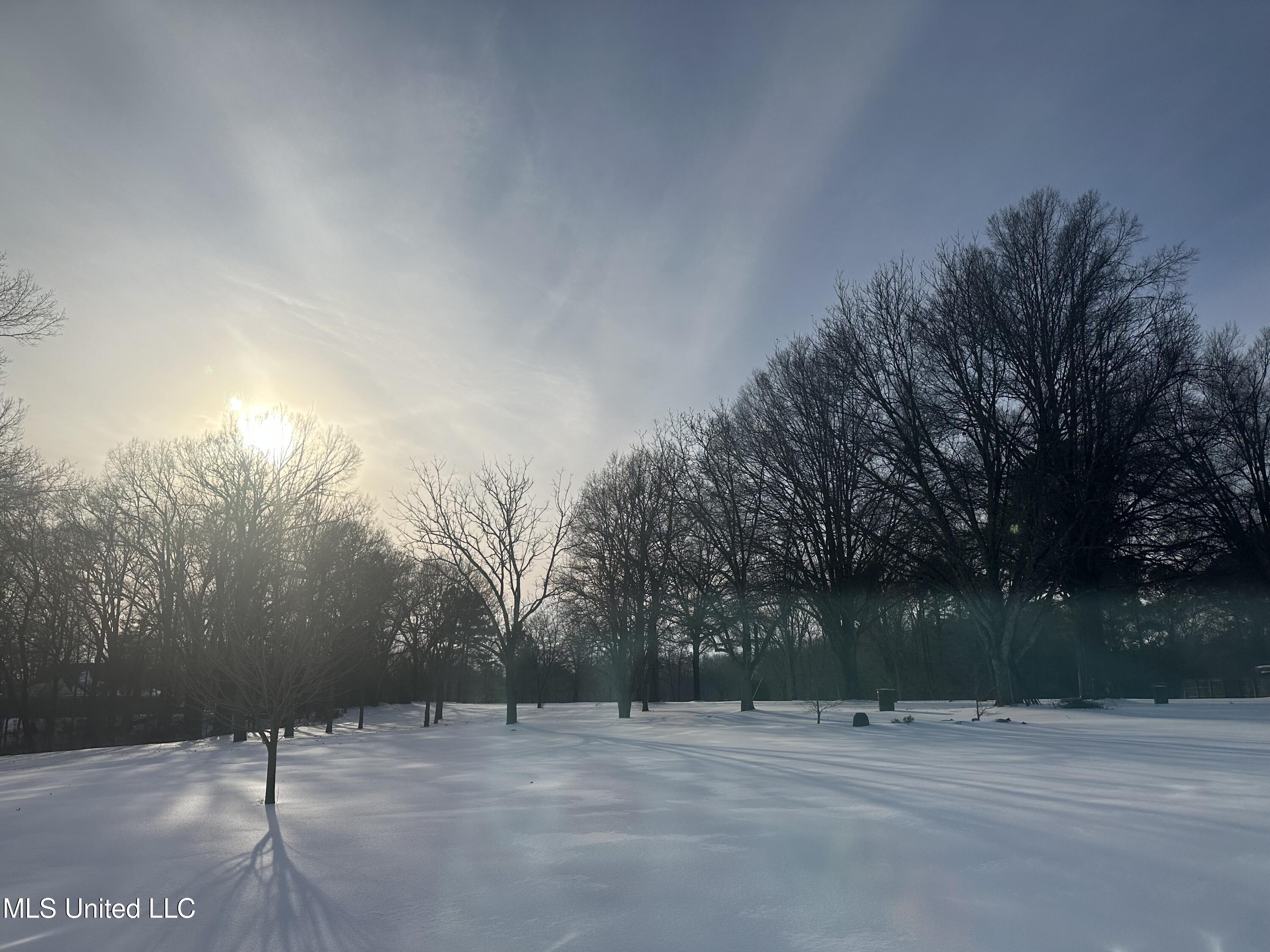 4486 Swinnea Road Southaven, MS 38672 - Photo 8 of 11 IMG_2744