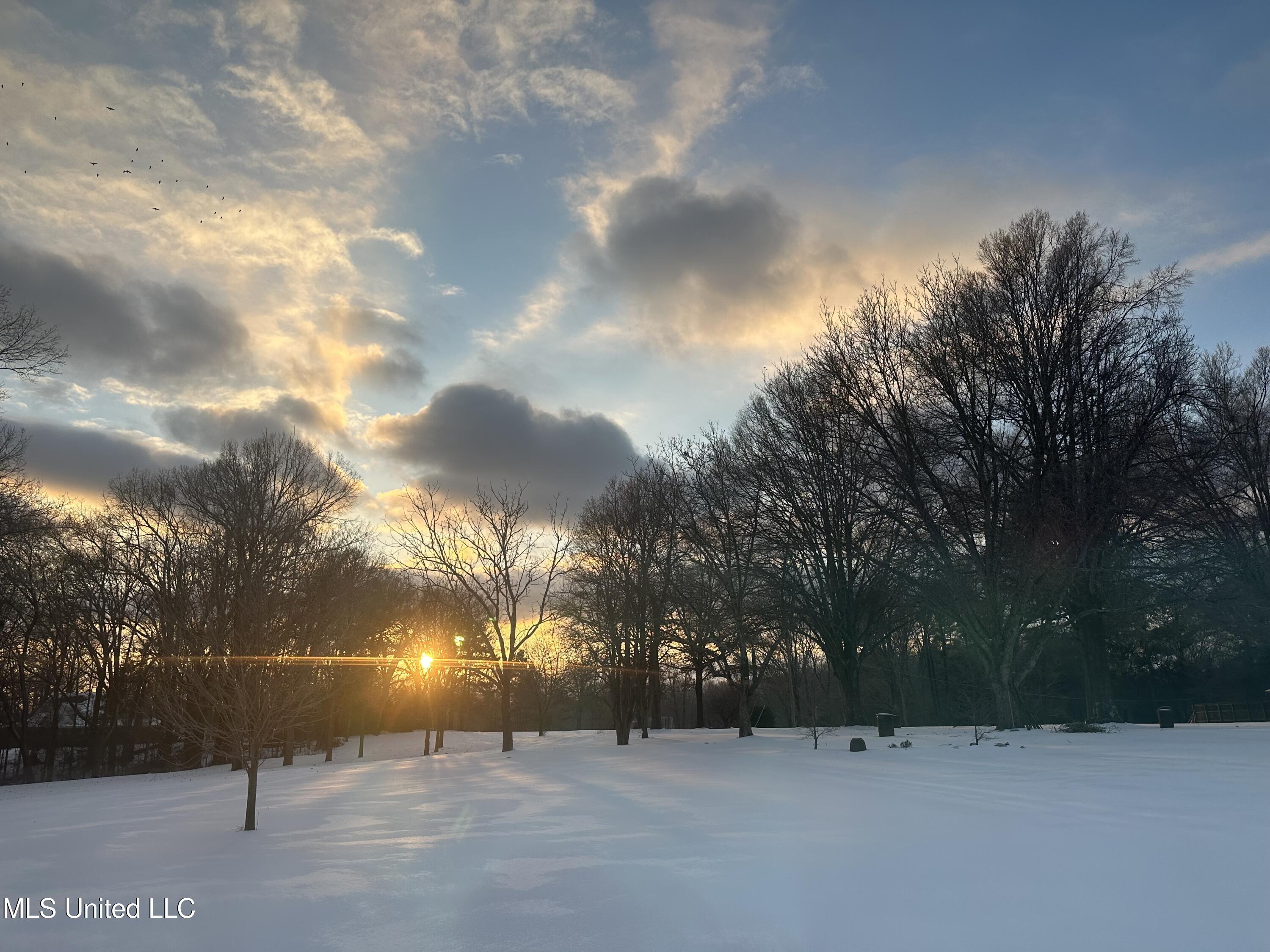 4486 Swinnea Road Southaven, MS 38672 - Photo 10 of 11 IMG_2728