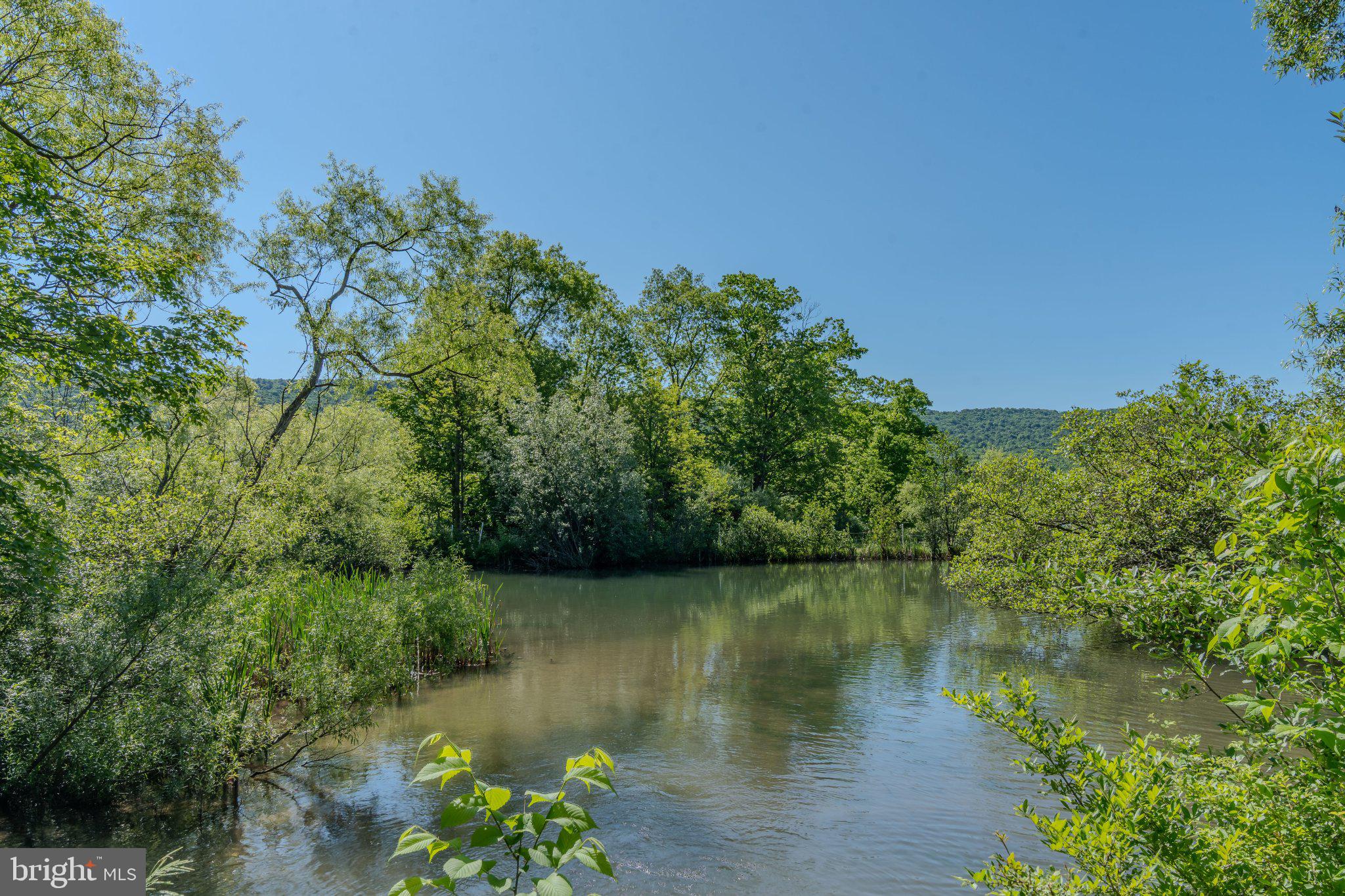 4503 Scotch Valley Road Hollidaysburg, PA 16648 - Photo 33 of 85